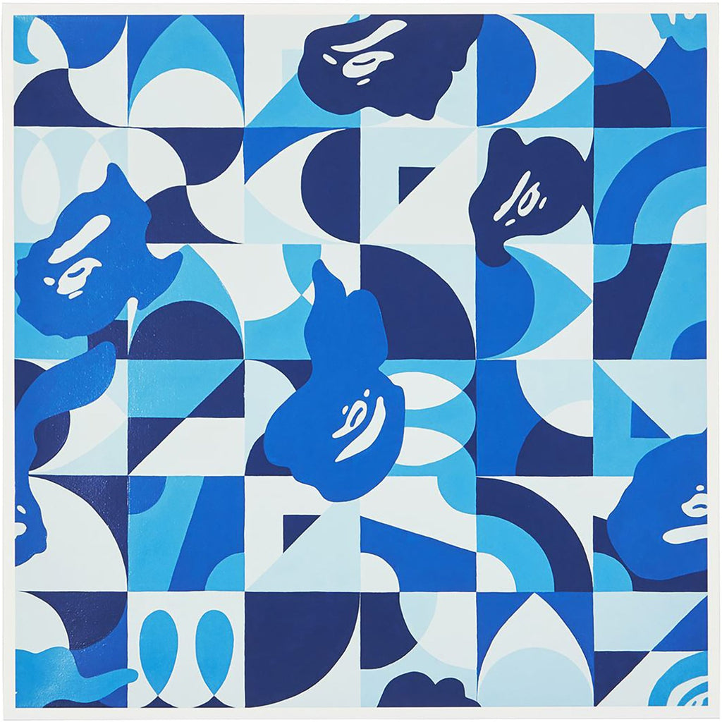 BAPEA X ILIZARBE ABC CAMO BLUE by ALVARO ILIZARBE